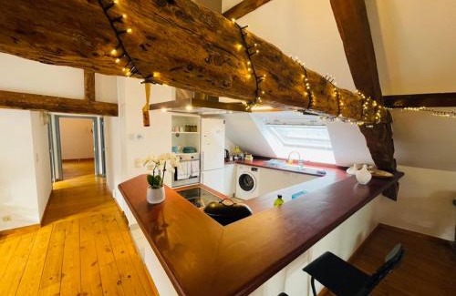 Quartier des Quais - Kaaienwijk Apartment | Down Town Spacious Loft with Private Parking