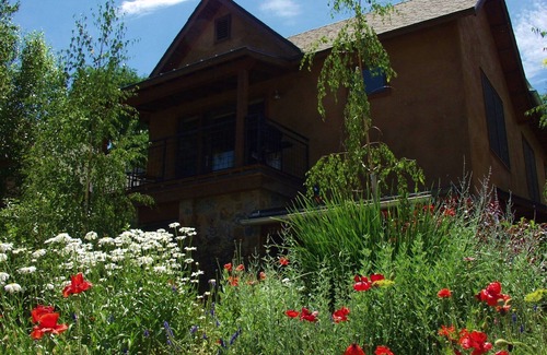Carbondale Apartment | Downtown Carbondale - Walk in and Feel at Home