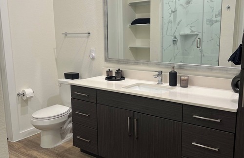 Downtown Houston Apartment | Downtown District apartment, close to Minute Maid stadium and Toyota center!
