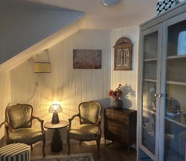 Alesund Apartment | Downtown Historical House with Renovated apartments free P near