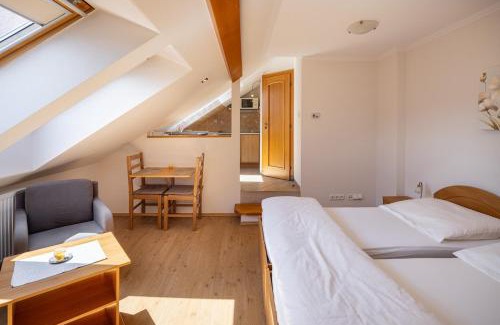 Piestany Apartment | Downtown Studio with Garden