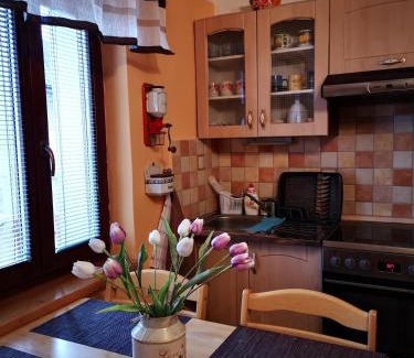 Drachov House | Dráchovský apartmán a vejminek