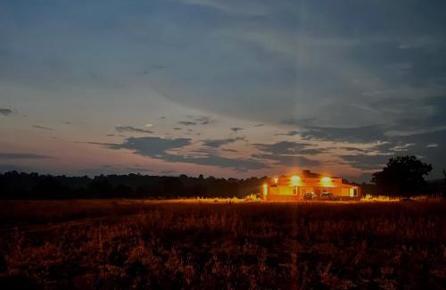 Pandharkawada Cabin | Dr Bones jungle home Tipeshwar wildlife sanctuary