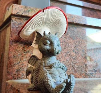 Sudharz Apartment | Drachennest - die tierfreundliche Ferienwohnung