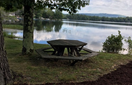 Mount Sunapee Cottage | Dragonfly Cottage on Beautiful Mountainview Lake