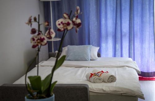 Suwalki Apartment | Dream Apartment