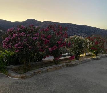 Milopotas Apartment | Dream catcher 1