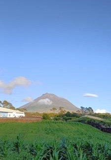 Madalena House | Dream View in Pico