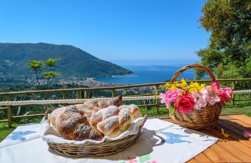 Torraca Bed & Breakfast | Driùs edodè - b&b affittacamere