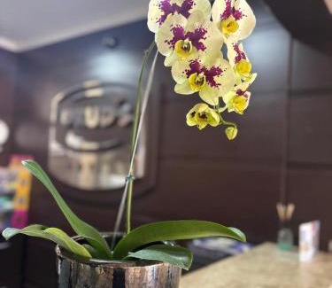 Tres Lagoas Hotel | Druds Hotel