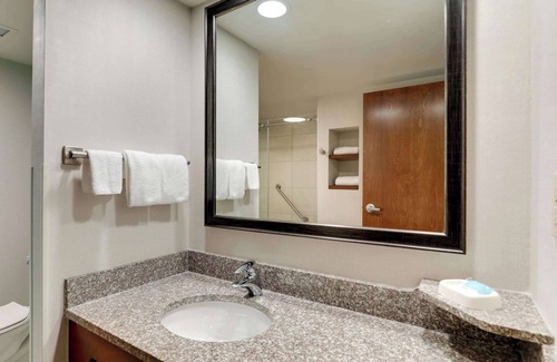Homewood Hotel | Drury Inn & Suites Birmingham Lakeshore Drive