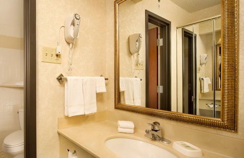 Airport Township Hotel | Drury Inn & Suites St. Louis Airport