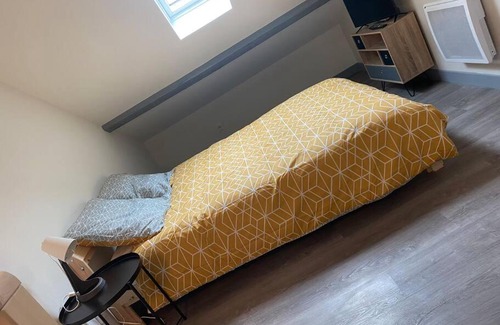 Thermal Apartment | Duplex quartier des thermes Appart Hotel le Cygne 9