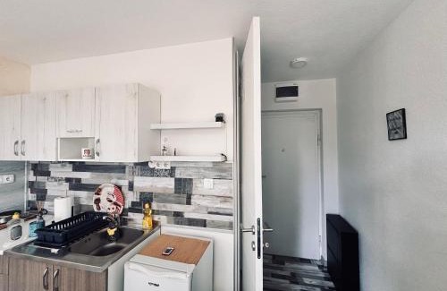 Ilidza Apartment | Dva Galebaa