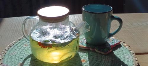 Dravce Other | DVOR POD KRíKMI