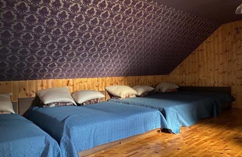 Alytus county Apartment | Dzūkų sodžius