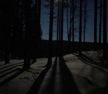 Duszniki Zdroj House | Dziewięćsił-domek w górach