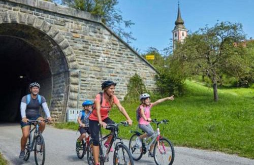 Podcetrtek Apartment | E79 AQUALUNA KAMP NATURA PODČETRTEK card not included