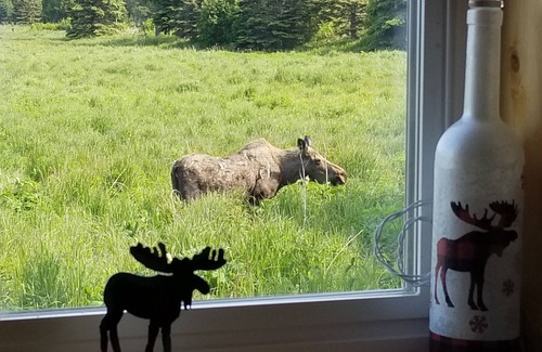 Cohoe Cabin | #"Eagles Nest" - Vacation Cabin, Kasilof Alaska - Sleeps 8