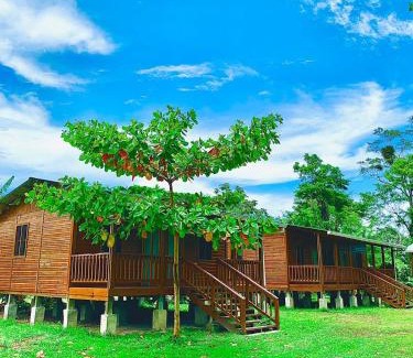 Corozal Hotel | Eco Cabañas El Cacao