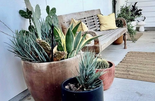 Spring Branch East House | Eco-friendly oasis with a pool