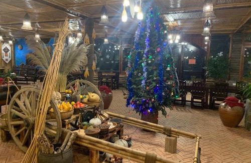 Sa Pa Resort | Eco Palms House - Sapa Retreat