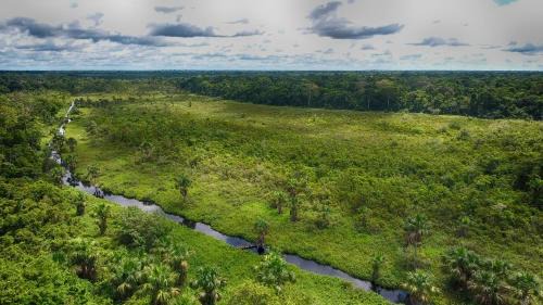 Las Piedras Cabin | Ecoamazonia Lodge