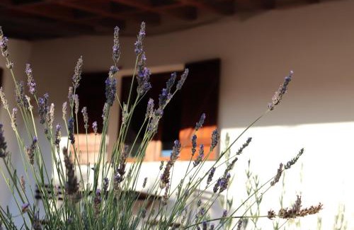 Mertola House | Ecoland Casa de Campo