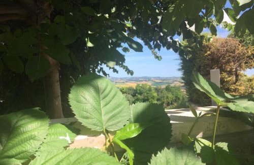 Cartoceto Bed & Breakfast | Eden Lilli B&B