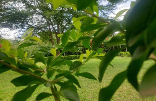 Isinya House | Eden Park Lounge