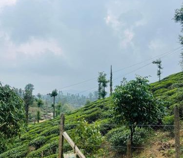 Valparai Hotel | Edenvilla