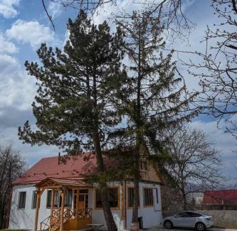 Dsegh House | Edits Home