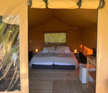 Rijsenhout Other | Een luxe safari tent