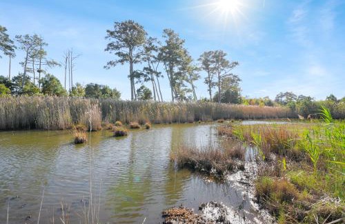 Chincoteague House | Egret's Walk - Charming Cottage on North Main!