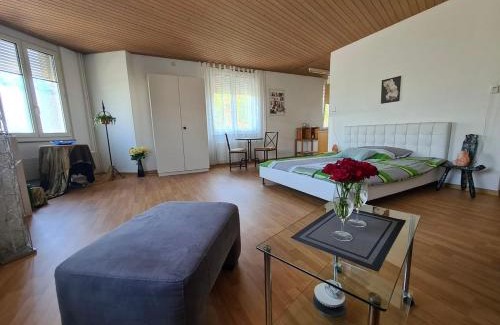 Monbijou Apartment | Eigerplatz