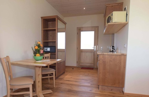 Baden-Baden Apartment | Einzelzimmer 24qm, mit Flachbild TV und Balkon
