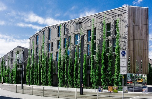 Vauban Apartment | Einzelzimmer Dusche und WC