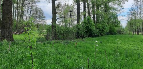 gmina Jastkow Ski Chalet | Eko Panorama Okolice Nałęczów