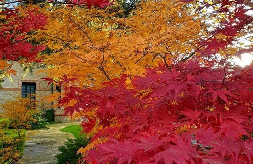 Cercedilla Villa | EL ALMA DEL COLMENAR