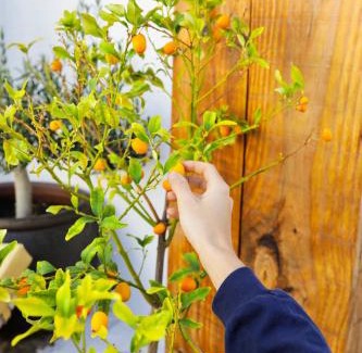 Arrecife Hotel | El Charco Suites