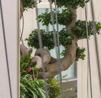 Old Town Hotel | El Llorenc Parc de la Mar - Adults Only (+16)