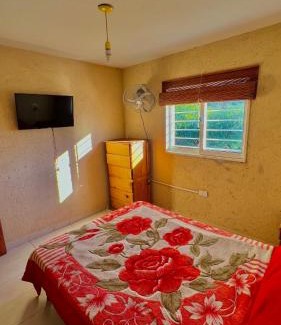 La Granja House | El Nacimiento 2