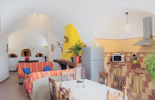 Fonelas House | El Olivo