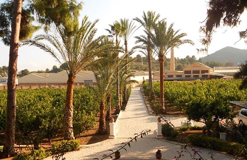 Oliva Hotel | El Sequer Casa Rural