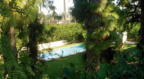 Oliva Hotel | El Sequer Casa Rural