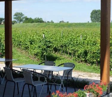 Oderzo House | El Sesterzio