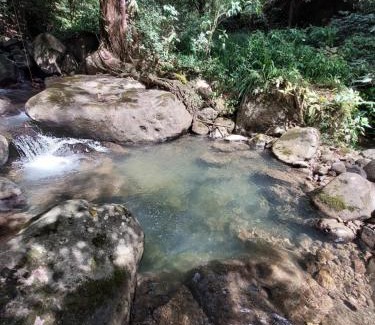 El Valle de Anton House | El Zumbito