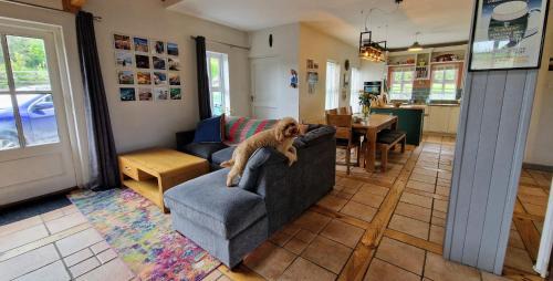Blackwater House | Elba