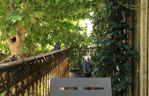 Collobrieres Apartment | Elegant and romantic HSH apartment 35 minutes from the Var's most beautiful beaches