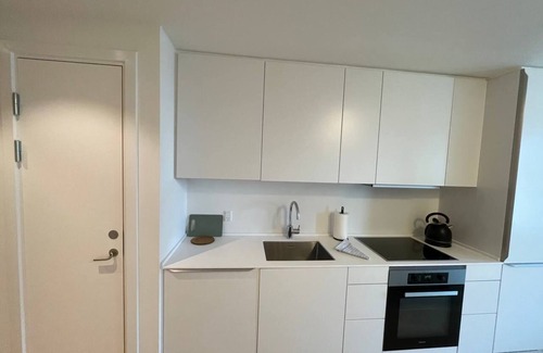 Vesterbro Apartment | Elegant Apartment Lovely City Views